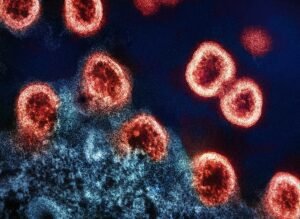 Find the Best Allergy Test Near Me – Quick, Reliable & Convenient